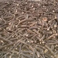 چوب سقفی و انواع چوب باغی|خدمات باغبانی و درختکاری|خفر, |دیوار