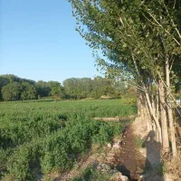 معاوضه باغ باویلا وآپارتمان|فروش دفتر صنعتی، کشاورزی، تجاری|مشگین شهر, |دیوار