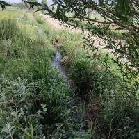 زمین-کشاورزی-آبی
