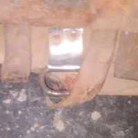 زین اسب|اسب و تجهیزات اسبسواری|اردکان, |دیوار