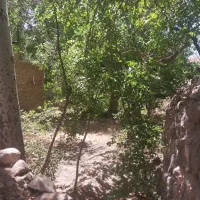 فروش باغ ده بالا