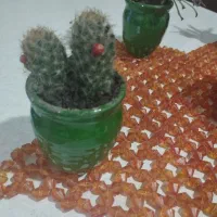 گل های کوچیک|گل و گیاه طبیعی|سلمان‌شهر, |دیوار