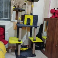 اسکرچر جای خواب گربه|لوازم جانبی حیوانات|تهران, کوی بیمه|دیوار