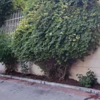 فروش-آپارتمان-150-متری-گلسرخ