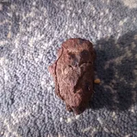 سنگ شهاب سنگ ازکویر|جواهرات|تبریز, |دیوار