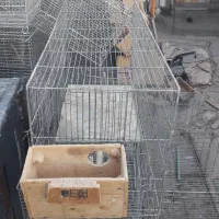 قفس جوجه پرون|لوازم جانبی حیوانات|شهرضا, |دیوار