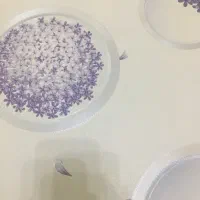 کاغذدیواری|مصالح و تجهیزات ساختمان|رشت, گلسار|دیوار