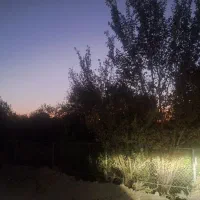 زمین 1000 متری مخصوص خانه باغ مسکونی ناژوان