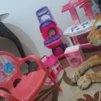 اسباب بازی|اسباب‌‌بازی|مشهد, طرق|دیوار