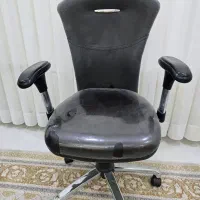 صندلی چرخدار|دفتر کار|بجنورد, |دیوار