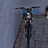 دوچرخه ویوا|دوچرخه، اسکیت، اسکوتر|پلدختر, |دیوار