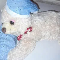 عروسکها