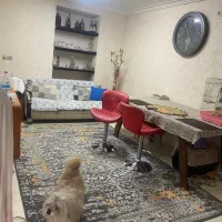 اجاره سوئیت مستقل|اجارهٔ آپارتمان|لاهیجان, کوی استادان|دیوار