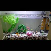 آکواریوم و کمد