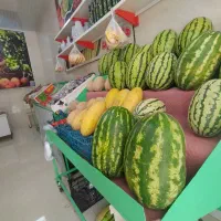 فروش فوری لوازم کامل میوه فروشی