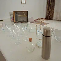 کلیه اسباب در عکس