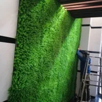 چمن گرین وال تاتامی و گرانول باشگاهی|مصالح و تجهیزات ساختمان|اهواز, گلستان|دیوار