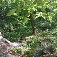 اجاره روزانه دهبالا هر لوکشینی که بخواین دارم|اجارهٔ کوتاه‌مدت ویلا و باغ|مهریز, |دیوار