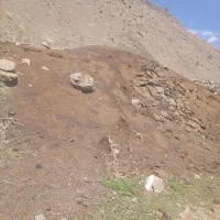 کود گوسفندی