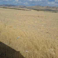 زمین کشاورزی مناسب برای ایجاد باغ|فروش دفتر صنعتی، کشاورزی، تجاری|قره پشتلو, |دیوار