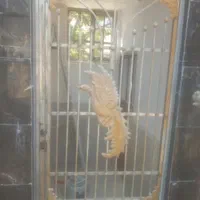 نقاشی ساختمان صدف