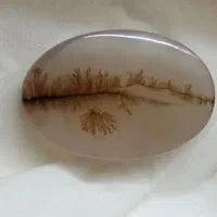 سنگ شجر|جواهرات|شیراز, باغ تخت|دیوار