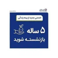 300 میلیون یجا پرداخت کن پنج سال دیگه بازنشسته شو|خدمات مالی، حسابداری، بیمه|تبریز, |دیوار