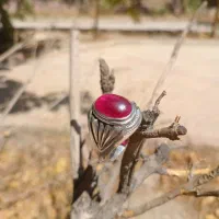 یاقوت سرخ کهنه بسیار زیبا