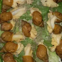 حلزون مولد  ۳۰  هزار تومن