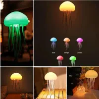 شب خواب عروس دریایی