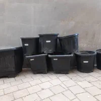 گلدون پلاستیکی|گل و گیاه طبیعی|تهران, کاشانک|دیوار