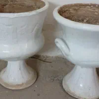 گلدان|گل و گیاه طبیعی|سبزوار, ولیعصر (نجار آباد)|دیوار