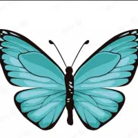 معاوضه سیم کارت رند کد ۶ با کد۱