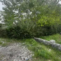 فروش زمین خوش قواره رودپشت|فروش زمین و ملک کلنگی|نشتارود, |دیوار