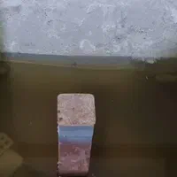 عایق چاهک آسانسور به صورت تضمینی|خدمات پیشه و مهارت|رشت, پل تالشان|دیوار