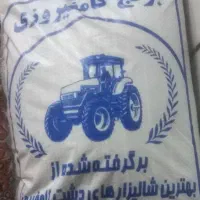 برنج کامفیروز ی بهترین کیفیت