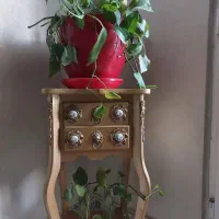 گل پتوس گل وگلدان  با گلهای تو شیشه همه باهم