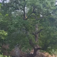 زمین-روستایی