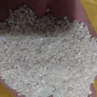 فروش عمده برنج شمال قیمت رقابتی|خوردنی و آشامیدنی|قم, شاه ابراهیم|دیوار