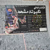 فرش|فرش|قم, نخودی|دیوار