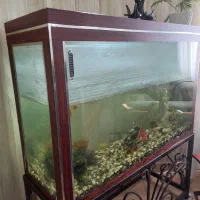 فروش آکواریوم