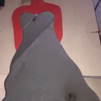 اینه ژورنالی ونیاز خاص پسندان