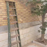 نردبان