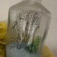 تنگ ماهی یا زینتی یا گلدون