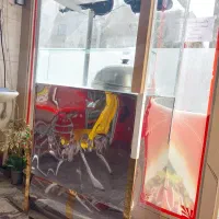 دستگاه ذرت مکزیکی|فروشگاه و مغازه|وحیدیه, |دیوار