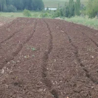 کار با تیلر