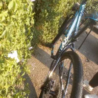 دوچرخه جاینت تالون ۲|دوچرخه، اسکیت، اسکوتر|شیراز, اصلاح‌نژاد|دیوار