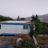کانکس