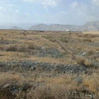 زمین
