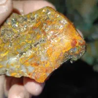 کلکسیونی|کلکسیون اشیاء عتیقه|کرمان, |دیوار